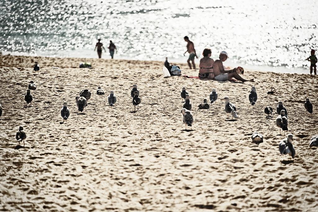 Rosamar Apartamentos Armação de Pêra Exteriör bild